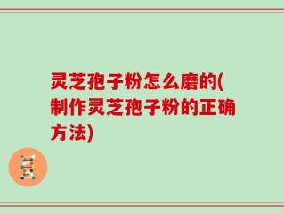 灵芝孢子粉怎么磨的(制作灵芝孢子粉的正确方法)