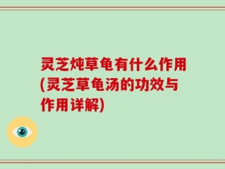 灵芝炖草龟有什么作用(灵芝草龟汤的功效与作用详解)