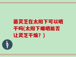 菌灵芝在太阳下可以晒干吗(太阳下曝晒能否让灵芝干燥？)