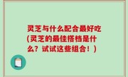 灵芝与什么配合最好吃(灵芝的最佳搭档是什么？试试这些组合！)