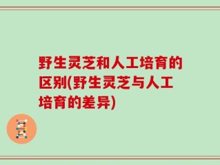 野生灵芝和人工培育的区别(野生灵芝与人工培育的差异)