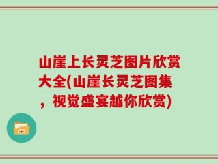 山崖上长灵芝图片欣赏大全(山崖长灵芝图集，视觉盛宴越你欣赏)