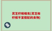 灵芝柠檬相克(灵芝和柠檬不宜搭配的食物)