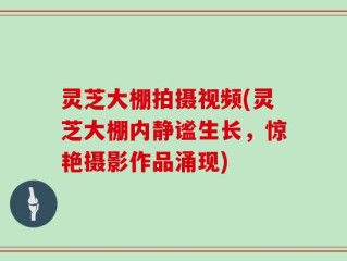 灵芝大棚拍摄视频(灵芝大棚内静谧生长，惊艳摄影作品涌现)