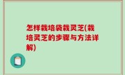 怎样栽培袋栽灵芝(栽培灵芝的步骤与方法详解)