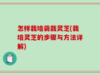 怎样栽培袋栽灵芝(栽培灵芝的步骤与方法详解)