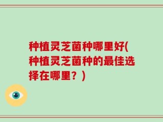 种植灵芝菌种哪里好(种植灵芝菌种的最佳选择在哪里？)