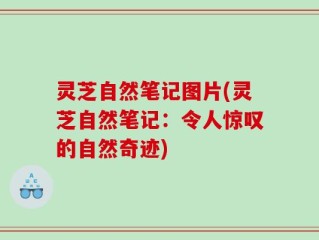 灵芝自然笔记图片(灵芝自然笔记：令人惊叹的自然奇迹)