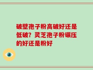 破壁孢子粉高破好还是低破？灵芝孢子粉碾压的好还是粉好