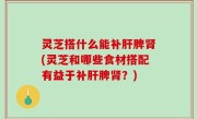 灵芝搭什么能补肝脾肾(灵芝和哪些食材搭配有益于补肝脾肾？)