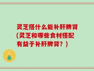 灵芝搭什么能补肝脾肾(灵芝和哪些食材搭配有益于补肝脾肾？)