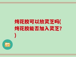 炖花胶可以放灵芝吗(炖花胶能否加入灵芝？)
