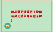 精品灵芝破壁孢子粉精选灵芝壁垒开采孢子粉)