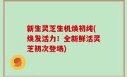 新生灵芝生机焕初纯(焕发活力！全新鲜活灵芝初次登场)