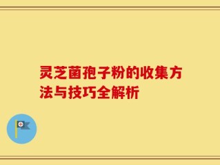 灵芝菌孢子粉的收集方法与技巧全解析