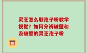 灵芝怎么取孢子粉教学视觉？如何分辨破壁和没破壁的灵芝孢子粉
