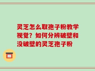 灵芝怎么取孢子粉教学视觉？如何分辨破壁和没破壁的灵芝孢子粉