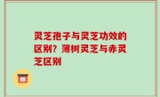 灵芝孢子与灵芝功效的区别？薄树灵芝与赤灵芝区别