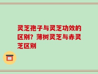 灵芝孢子与灵芝功效的区别？薄树灵芝与赤灵芝区别
