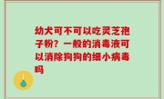 幼犬可不可以吃灵芝孢子粉？一般的消毒液可以消除狗狗的细小病毒吗