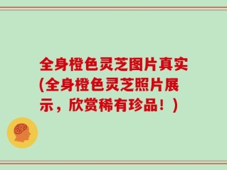 全身橙色灵芝图片真实(全身橙色灵芝照片展示，欣赏稀有珍品！)