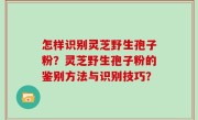 怎样识别灵芝野生孢子粉？灵芝野生孢子粉的鉴别方法与识别技巧？