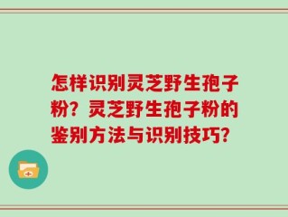 怎样识别灵芝野生孢子粉？灵芝野生孢子粉的鉴别方法与识别技巧？