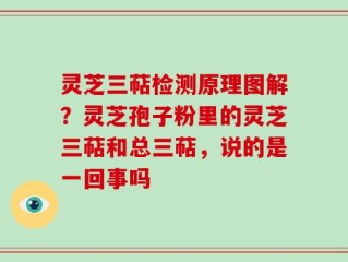 灵芝三萜检测原理图解？灵芝孢子粉里的灵芝三萜和总三萜，说的是一回事吗