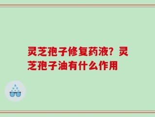 灵芝孢子修复药液？灵芝孢子油有什么作用