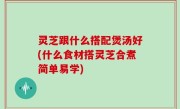 灵芝跟什么搭配煲汤好(什么食材搭灵芝合煮简单易学)