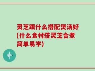 灵芝跟什么搭配煲汤好(什么食材搭灵芝合煮简单易学)