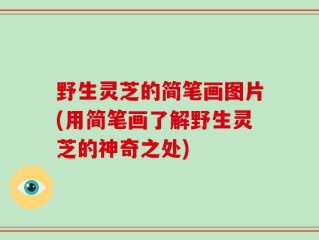 野生灵芝的简笔画图片(用简笔画了解野生灵芝的神奇之处)