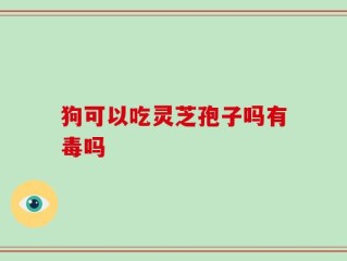 狗可以吃灵芝孢子吗有毒吗