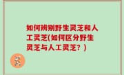 如何辨别野生灵芝和人工灵芝(如何区分野生灵芝与人工灵芝？)