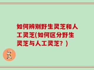 如何辨别野生灵芝和人工灵芝(如何区分野生灵芝与人工灵芝？)