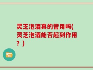 灵芝泡酒真的管用吗(灵芝泡酒能否起到作用？)