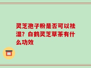 灵芝孢子粉是否可以祛湿？白鹤灵芝草茶有什么功效