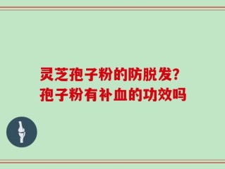 灵芝孢子粉的防脱发？孢子粉有补血的功效吗