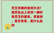 灵芝多糖的鉴别方法？偶然在山上采到一颗好像灵芝的菌类，求鉴别，是否有毒，是什么品种