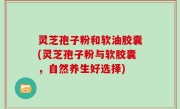 灵芝孢子粉和软油胶囊(灵芝孢子粉与软胶囊，自然养生好选择)