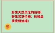 野生天然灵芝的价格(野生灵芝价格：珍稀品质竞相追捧)