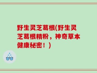 野生灵芝葛根(野生灵芝葛根精粉，神奇草本健康秘密！)