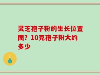 灵芝孢子粉的生长位置图？10克孢子粉大约多少