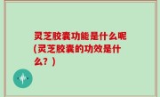 灵芝胶囊功能是什么呢(灵芝胶囊的功效是什么？)