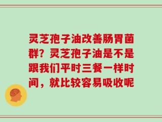 灵芝孢子油改善肠胃菌群？灵芝孢子油是不是跟我们平时三餐一样时间，就比较容易吸收呢
