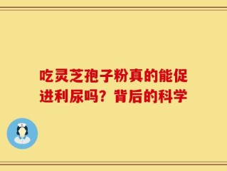 吃灵芝孢子粉真的能促进利尿吗？背后的科学