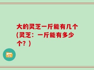 大的灵芝一斤能有几个(灵芝：一斤能有多少个？)