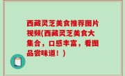 西藏灵芝美食推荐图片视频(西藏灵芝美食大集合，口感丰富，看图品尝味道！)