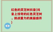 红色的灵芝树抖音(抖音上惊奇的红色灵芝树，挑战重力的美丽盛开)