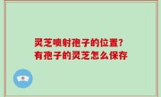 灵芝喷射孢子的位置？有孢子的灵芝怎么保存